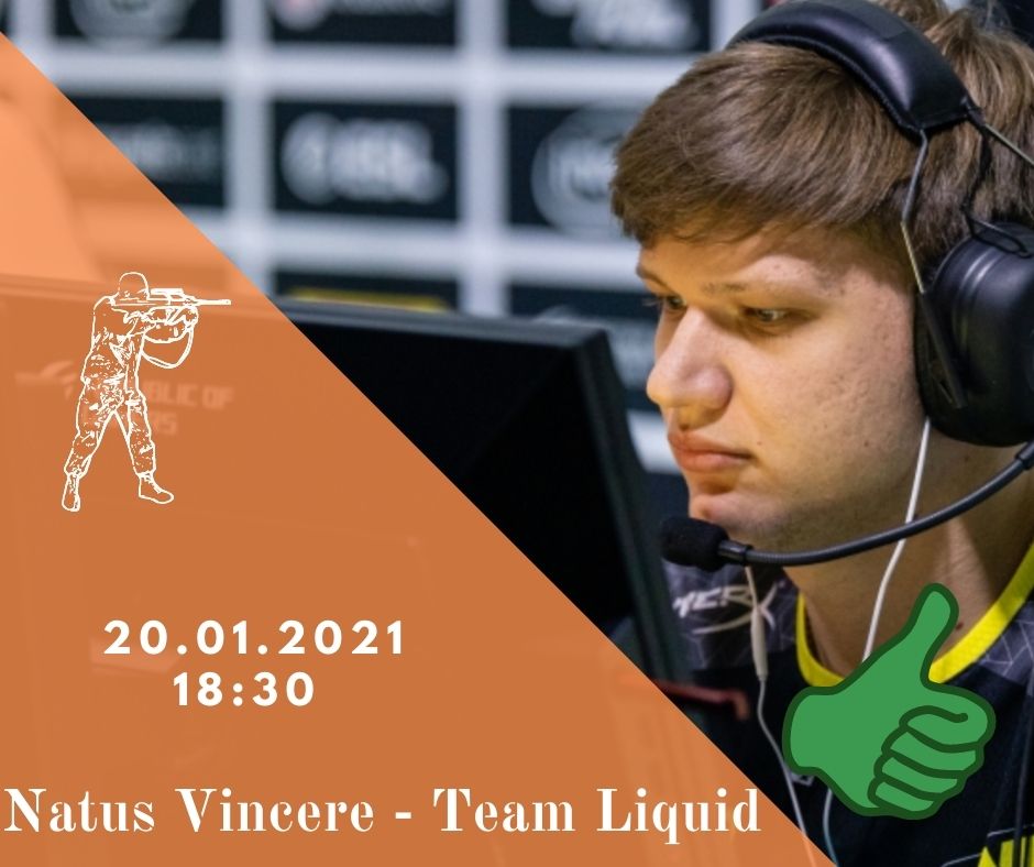 Natus Vincere - Team Liquid